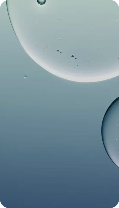 sacco formula